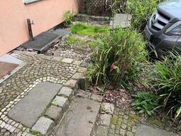 Gallery galerie vorher 25 4.1